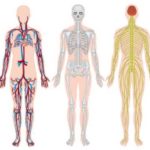 Osteopenia: cause, sintomi e cura